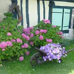Bed & Breakfast D'hotes Au Fil De L'eau 3*