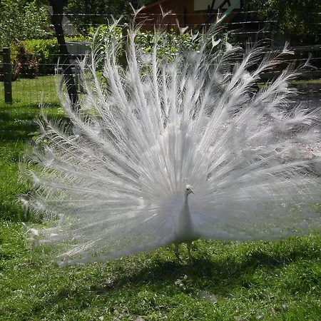 D'hotes Au Fil De L'eau 3* Jumièges