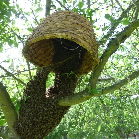D'hotes Au Fil De L'eau Jumièges