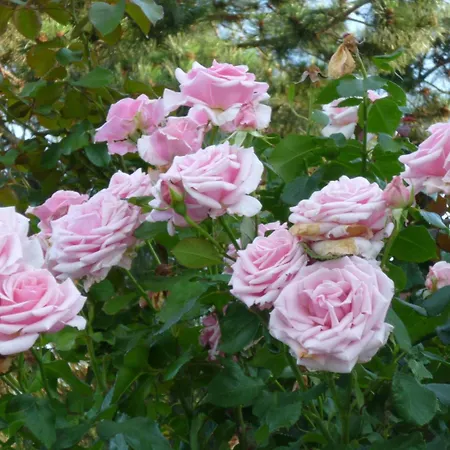 D'hotes Au Fil De L'eau