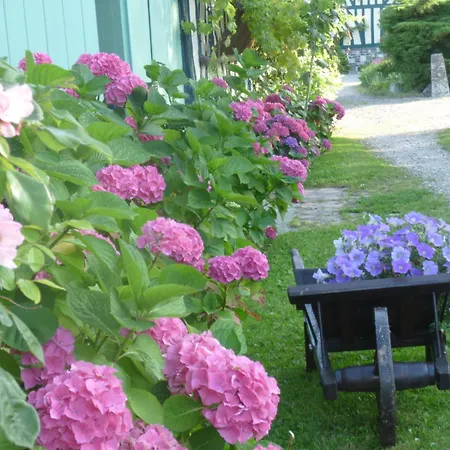 Oda ve Kahvaltı D'hotes Au Fil De L'eau Jumièges